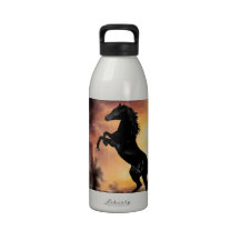 A rearing stallion at sunset reusable water bottles