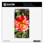 A Red And White Rose Skin For The iPhone 4S