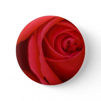 A Red Rose For You button