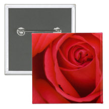 A Red Rose For You Button