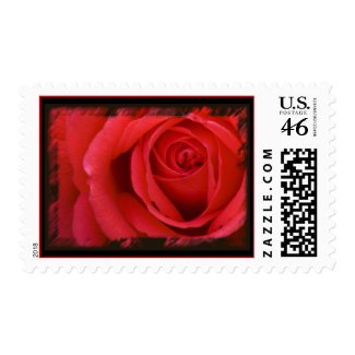 A Red Rose For You Stamp 2 stamp