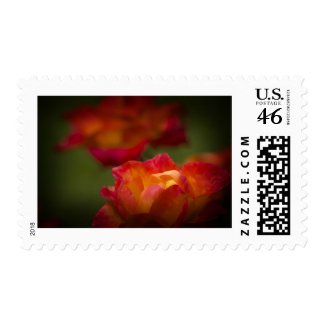 A Red Rose For You Stamp 4 stamp
