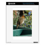 A rest NOOK color skins