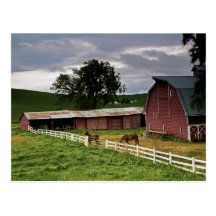 A ride through the farm country of Palouse 4 Post Cards