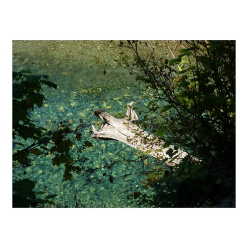 A River, A Log, Through Leaves print