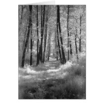 A Road Less Travelled cards