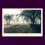a road less travelled