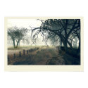 a road less travelled posters by frances a road less travelled posters