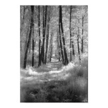 A Road Less Travelled posters