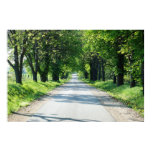 road, spring, hungary