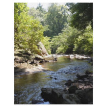 A Rocky Creek Full Color Flyer
