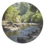 A Rocky Creek Plate