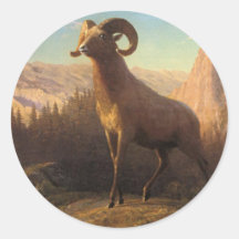 a rocky mountain sheep, Bierstadt Albert Stickers