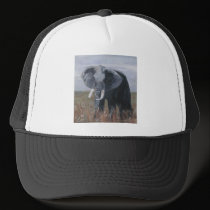 "A Rogue Elephant" Hat