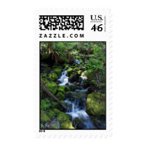 A Rogue River Spring Postage