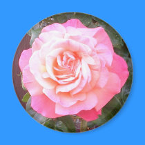 A Rose 4 U magnets