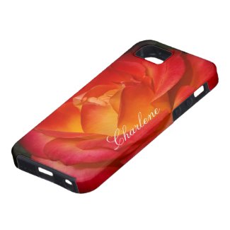 A Rose Aflame iPhone 5 Covers