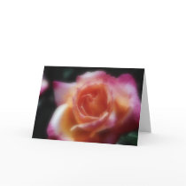 A Rose by any other name cards