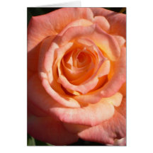 A Rose by Any Other Name Greeting Cards