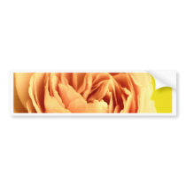 A rose by any other name is still a rose.JPG Bumper Sticker