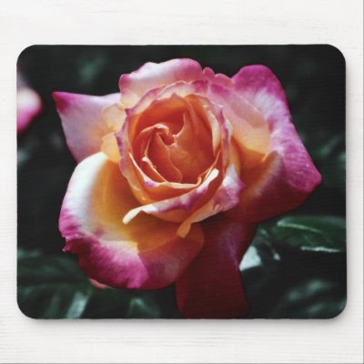 A rose by any other name... Mousepad by Jack_of_Arts