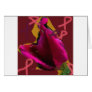 a rose for cansor greeting card