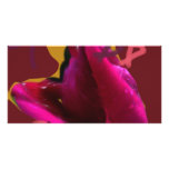 a rose for cansor picture card