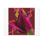 a rose for cansor post cards