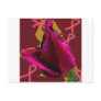 a rose for cansor post cards