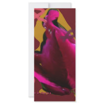 a rose for cansor rack cards