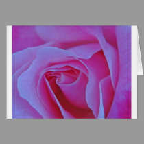 A Rose for every Season cards