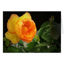 A Rose For My Brother Cards