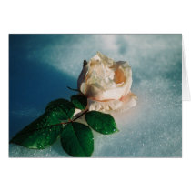 A rose for you cards