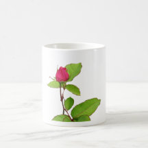 A Rose for You... Coffee Mug