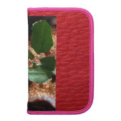 a rose gold organizers by aspenrosearts