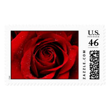 A Rose in Bloom Stamps