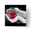 A Rose in the Hand 2 buttons by Sky_Blue_Photography A Rose in the Hand 2 buttons