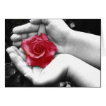 A Rose in the Hand 2 Greeting Cards