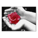 A Rose in the Hand 2 cards by Sky_Blue_Photography A Rose in the Hand 2 cards