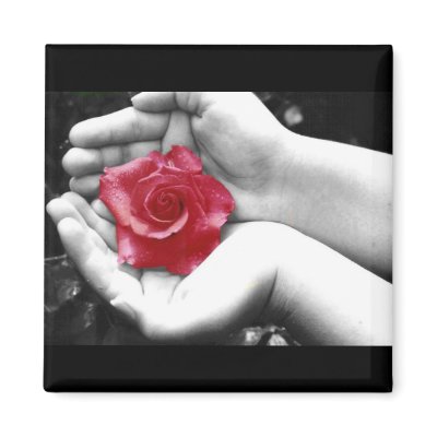 A Rose in the Hand 2 Refrigerator Magnets by Sky_Blue_Photography