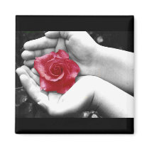 A Rose in the Hand 2 magnets