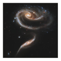 A Rose Made of Galaxies posters