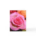 A Rose of Thanks! cards by writeforyou A Rose of Thanks! cards