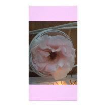 A rose - only for you custom photo card