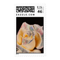 a ROSE stamps