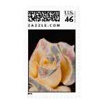 a ROSE Stamps