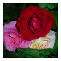 A Rose Trio posters by minx267 A Rose Trio posters