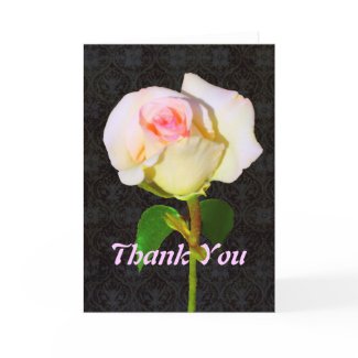 A Rose Unfolding - Black Damask Thank You card