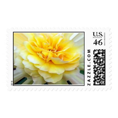 A ROSE WITH RAYS... POSTAGE STAMP by hunterseeker4