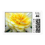 A ROSE WITH RAYS... postage